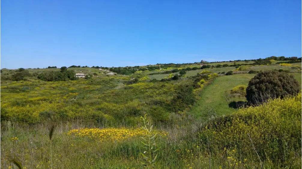 Fotosimulazione del recupero ambientale vista dalla viabilità a sud