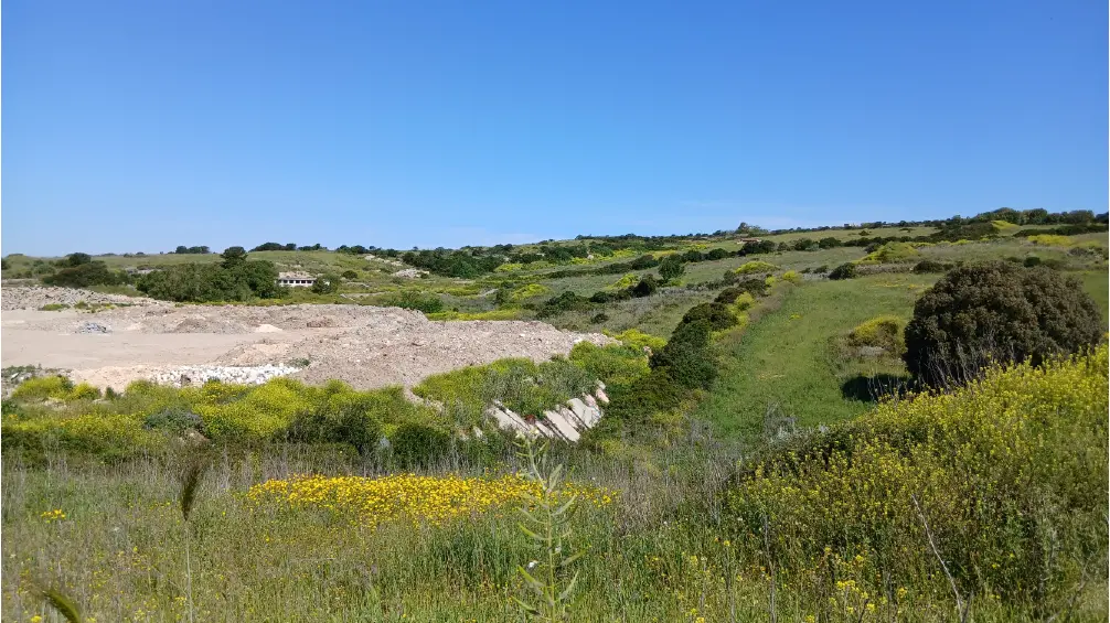 Stato attuale del sito visto dalla viabilità a sud
