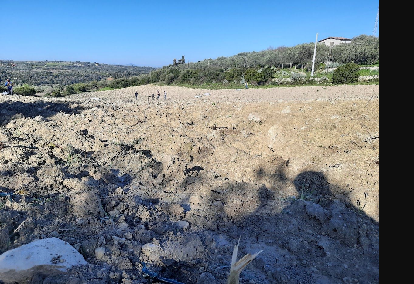 Vineyard site preparation and planting work in Sardinia